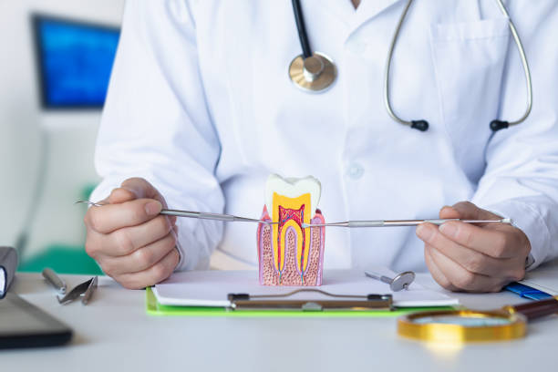 Best Emergency Treatment for Oral Infections in Warminster Heights, PA